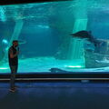 Aquarium du Croisic