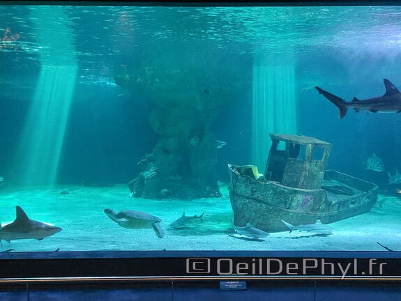 Aquarium du Croisic