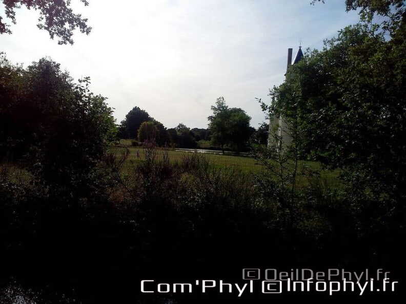 chateau-du-plessis-bourre-ecuille-3