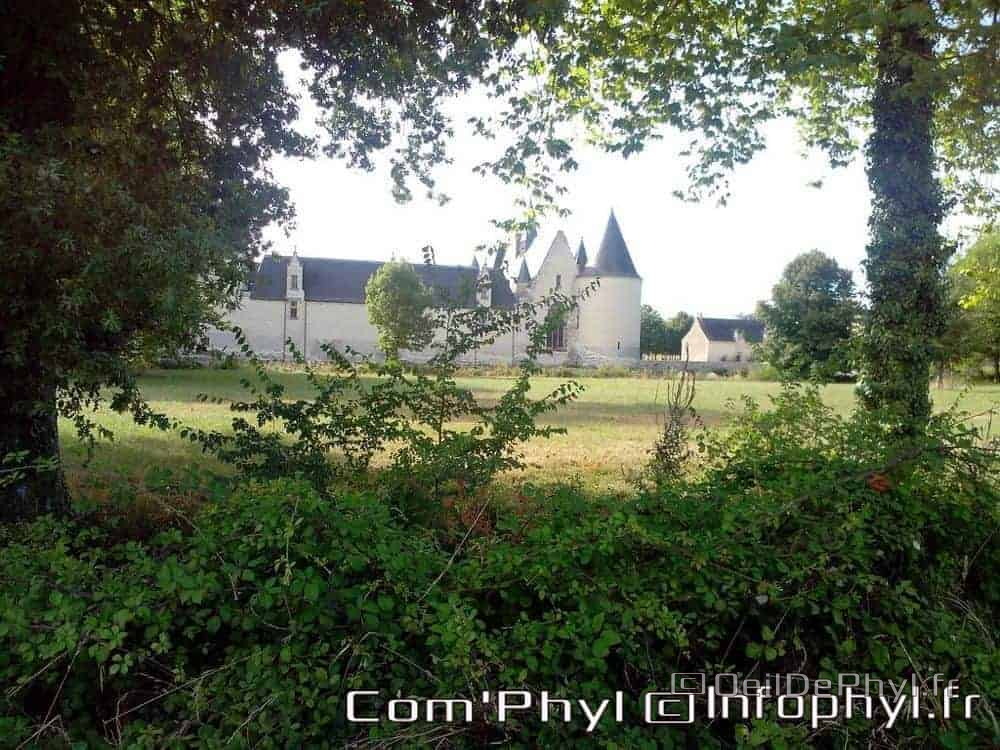 chateau-du-plessis-bourre-ecuille-6