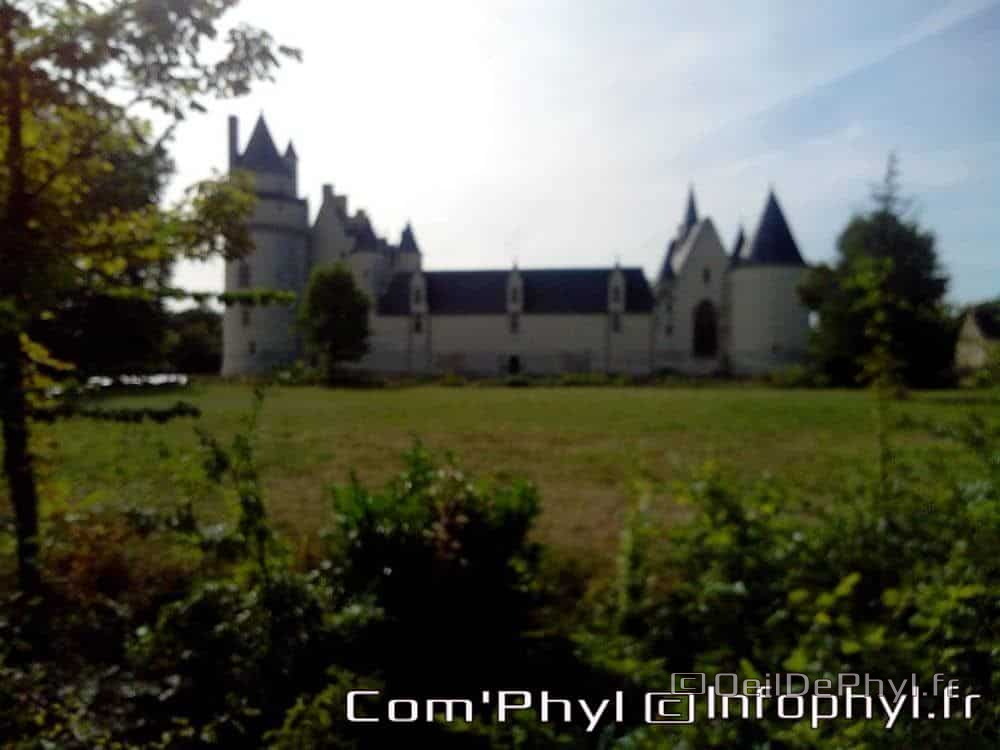 chateau-du-plessis-bourre-ecuille-7