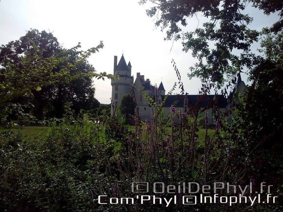 chateau-du-plessis-bourre-ecuille-8