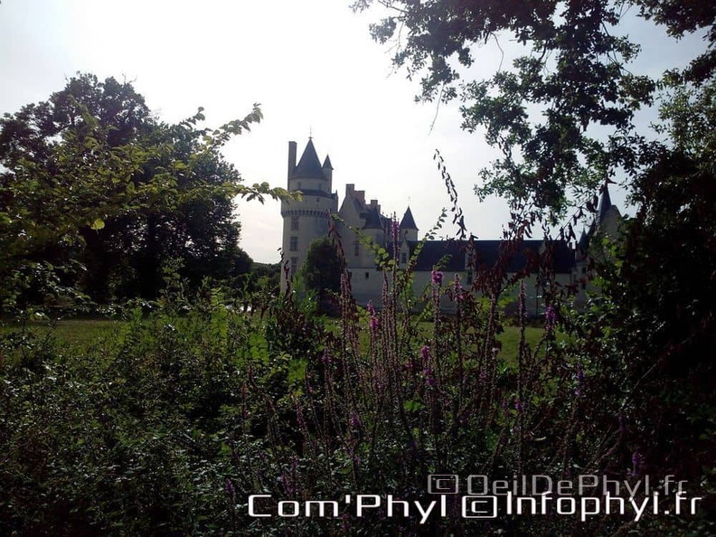 chateau-du-plessis-bourre-ecuille-8