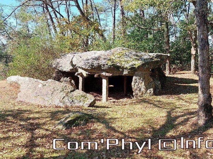 dolmen-des-tablettes-tablettes-de-cournon-1