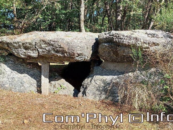 dolmen-des-tablettes-tablettes-de-cournon-3