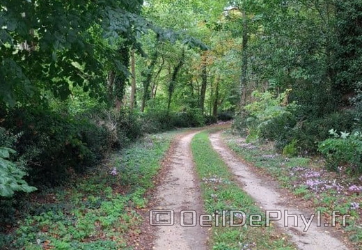 Le château de Jarzé