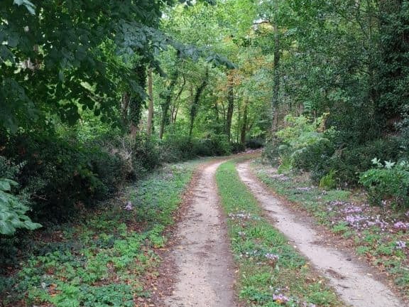 Le château de Jarzé