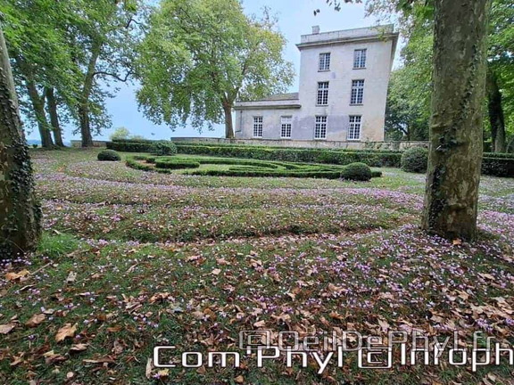 Le château de Jarzé