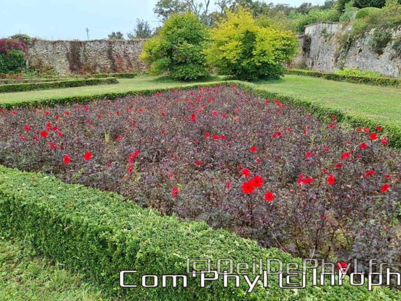 Le château de Jarzé