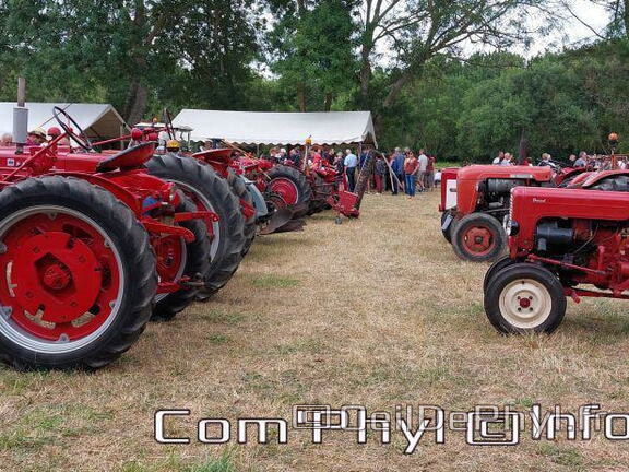 fete-des-foins-2022-8