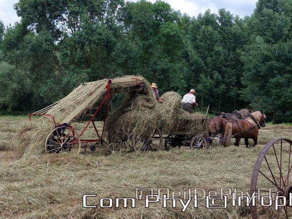fetedesfoins2022 corze tb 1