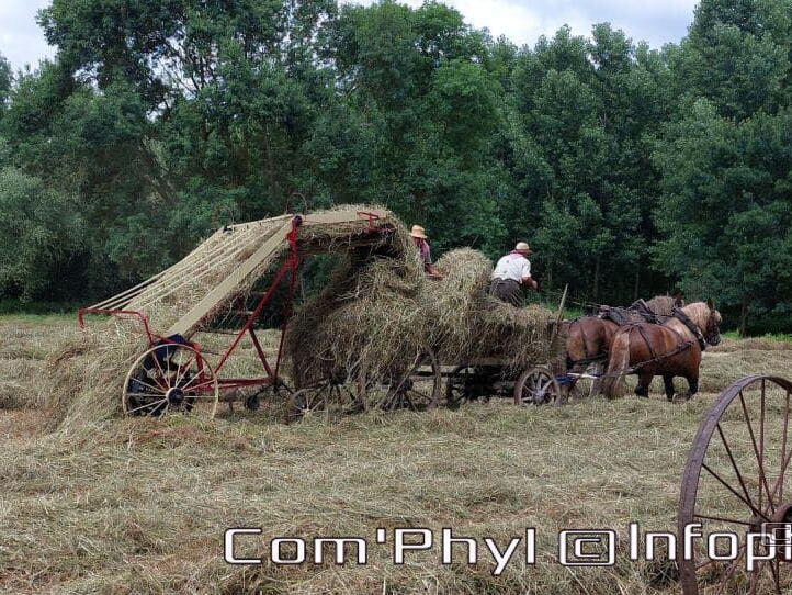 fetedesfoins2022 corze tb 1