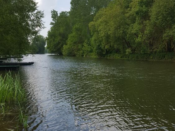 au-bord-de-la-sarthe-tierce-6