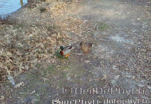 base-de-loisirs-du-lac-de-malague-8