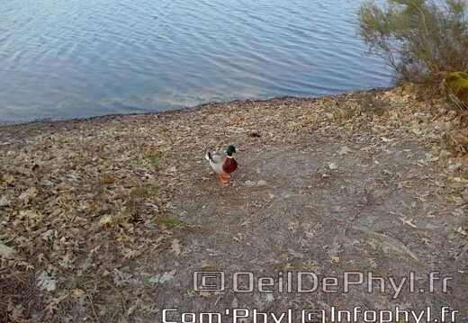 base-de-loisirs-du-lac-de-malague-11