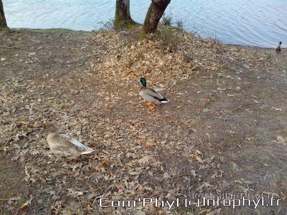 base-de-loisirs-du-lac-de-malague-6