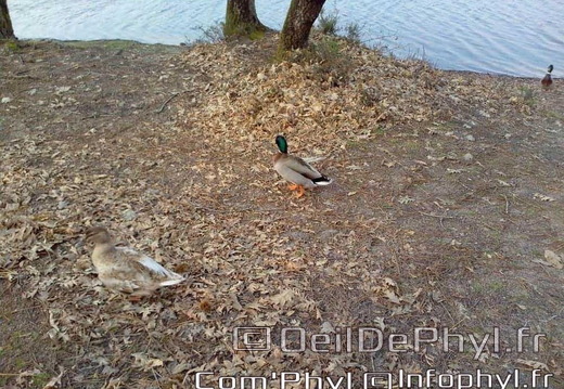 base-de-loisirs-du-lac-de-malague-6