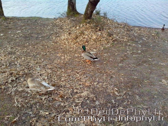 base-de-loisirs-du-lac-de-malague-6