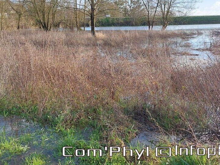 Pdj : 16 janvier 2023 - le Loir