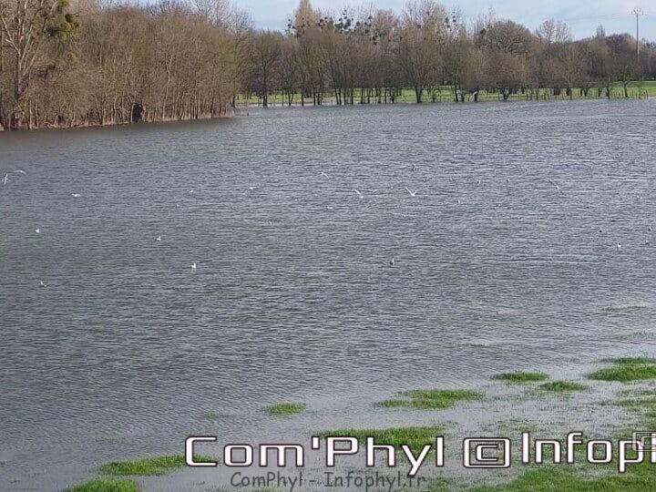 Pdj : 16 janvier 2023 - le Loir