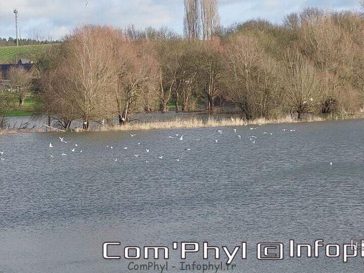 Pdj : 16 janvier 2023 - le Loir