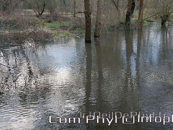 Pdj : 16 janvier 2023 - le Loir