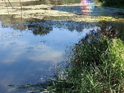 otto-elsa-tomkowiak-5