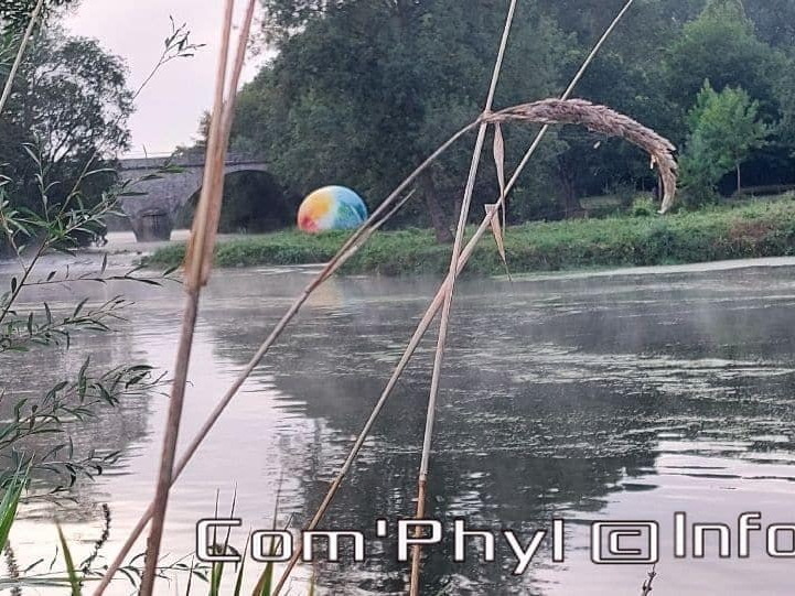 novart-elsa-tomkowiak-otto-03