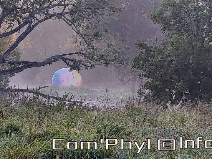 novart-elsa-tomkowiak-otto-04