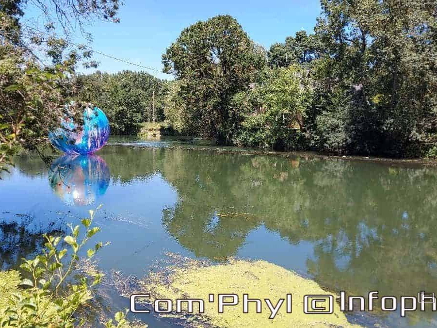 novart-elsa-tomkowiak-otto-11