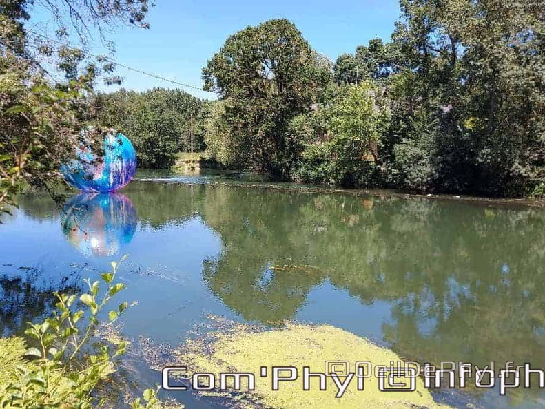 novart-elsa-tomkowiak-otto-11