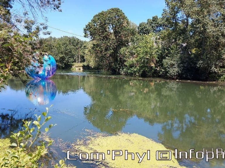 otto-elsa-tomkowiak-1