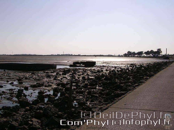 noirmoutier-en-lile-le-gois-30