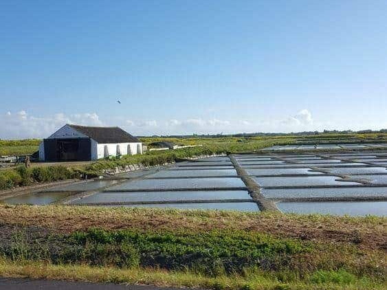 noirmoutier-en-l-ile-les-marais-26