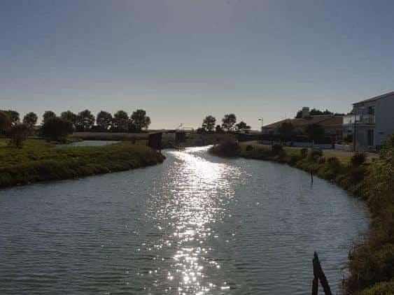 noirmoutier-en-l-ile-les-marais-28