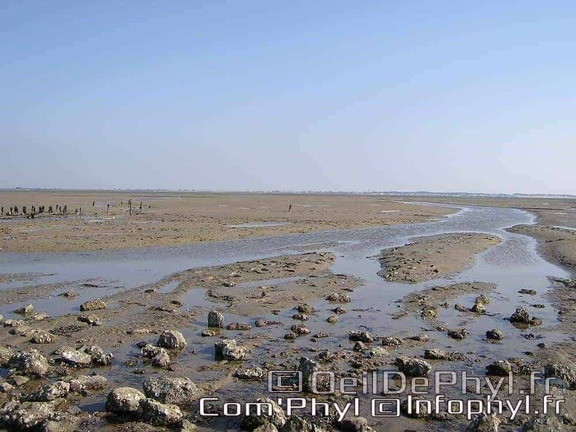 noirmoutier-en-l-ile-le-gois-06