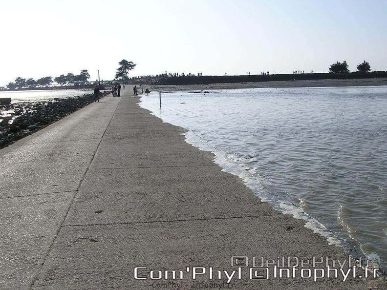 noirmoutier-en-l-ile-le-gois-09