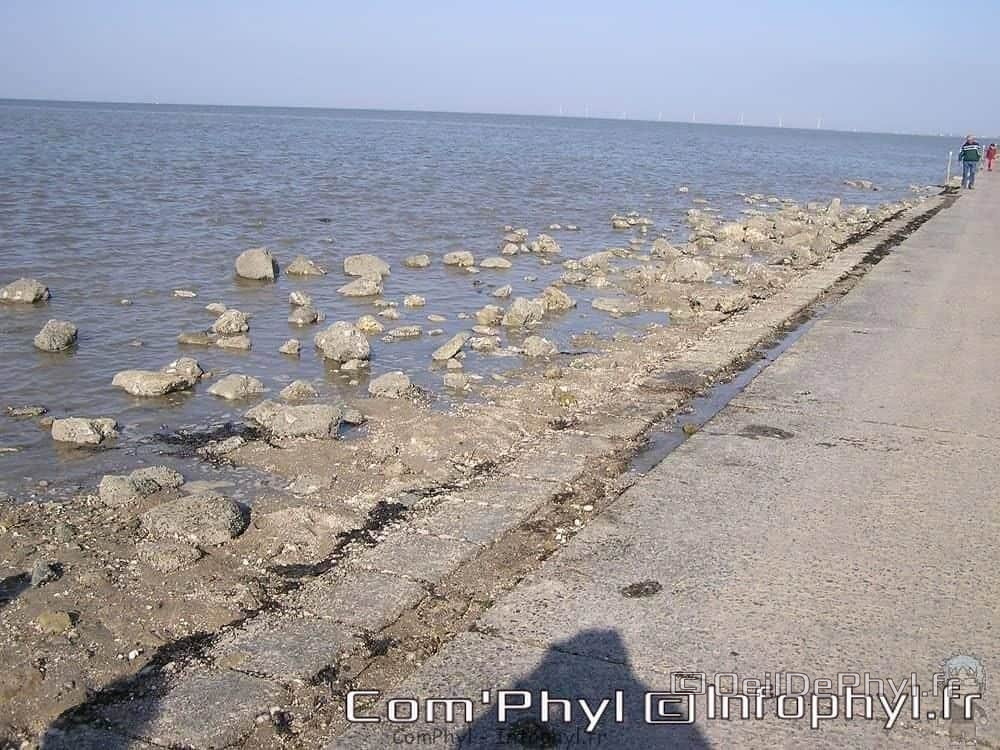 noirmoutier-en-l-ile-le-gois-10