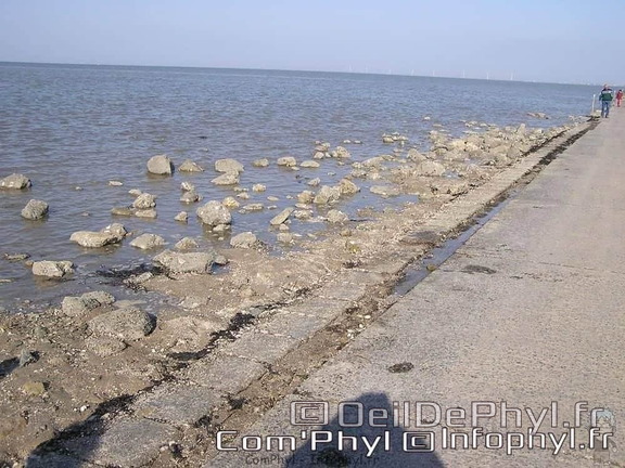 noirmoutier-en-l-ile-le-gois-10