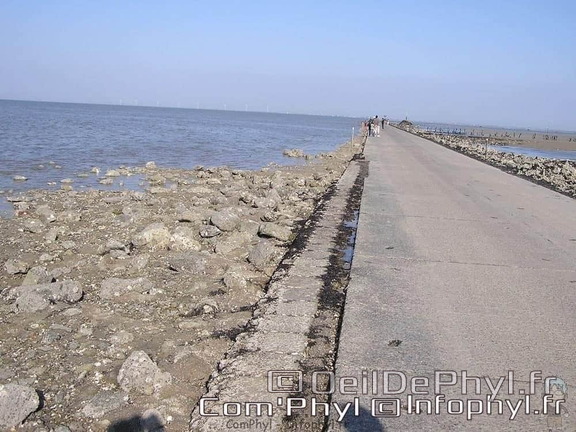 noirmoutier-en-l-ile-le-gois-11