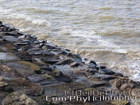 noirmoutier-en-l-ile-le-gois-13