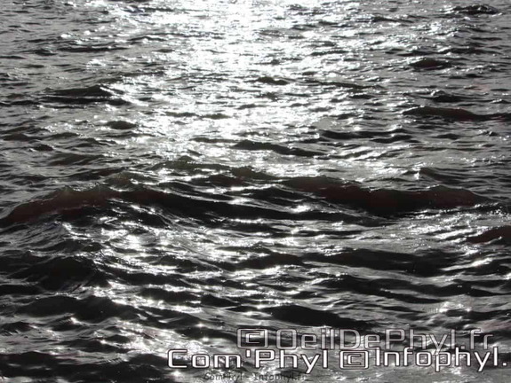 noirmoutier-en-l-ile-le-gois-16