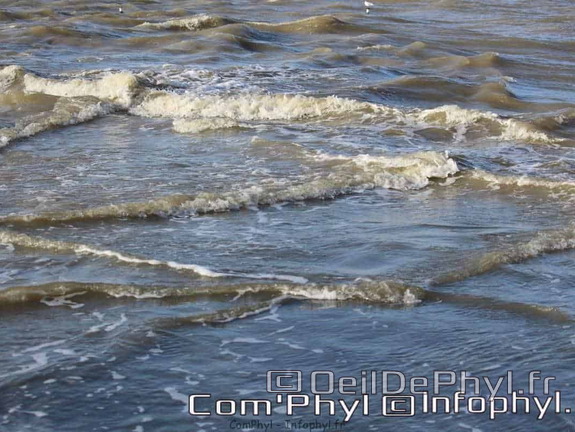 noirmoutier-en-l-ile-le-gois-19