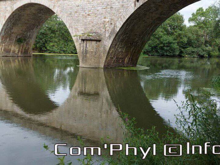 Le loir et les arches du pont 