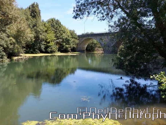 Le  loir et le pont