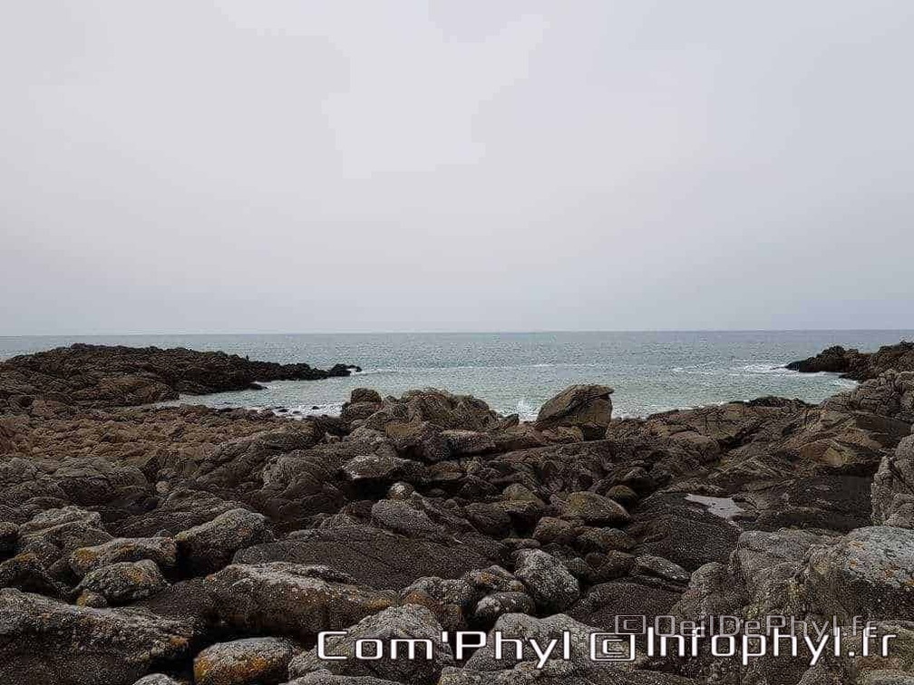 le-croisic-la-cote-sauvage-2