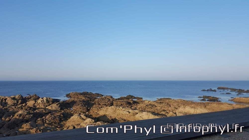 le-croisic-la-cote-1