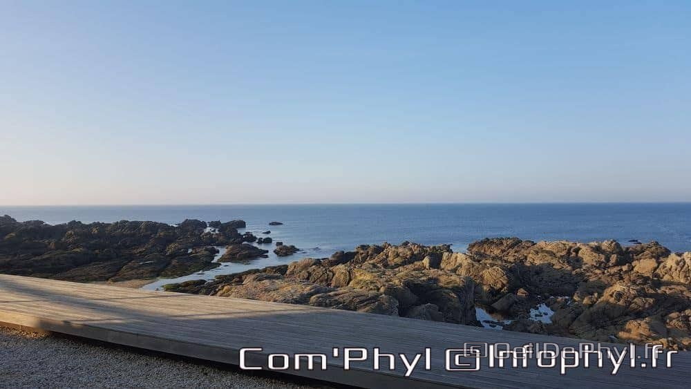 le-croisic-la-cote-2