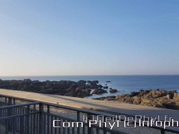 le-croisic-la-cote-4