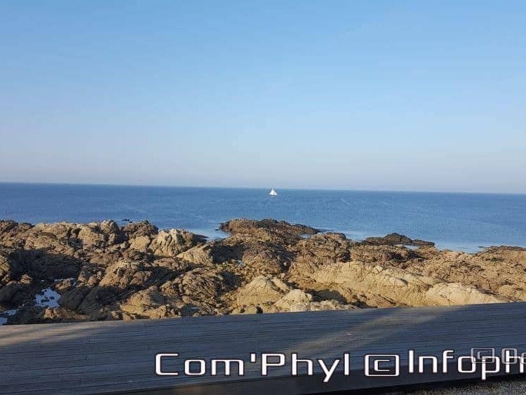 le-croisic-la-cote-5